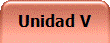 Unidad V