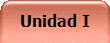 Unidad I