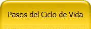 Pasos del Ciclo de Vida