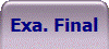 Exa. Final