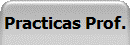Practicas Prof.