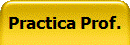 Practica Prof.