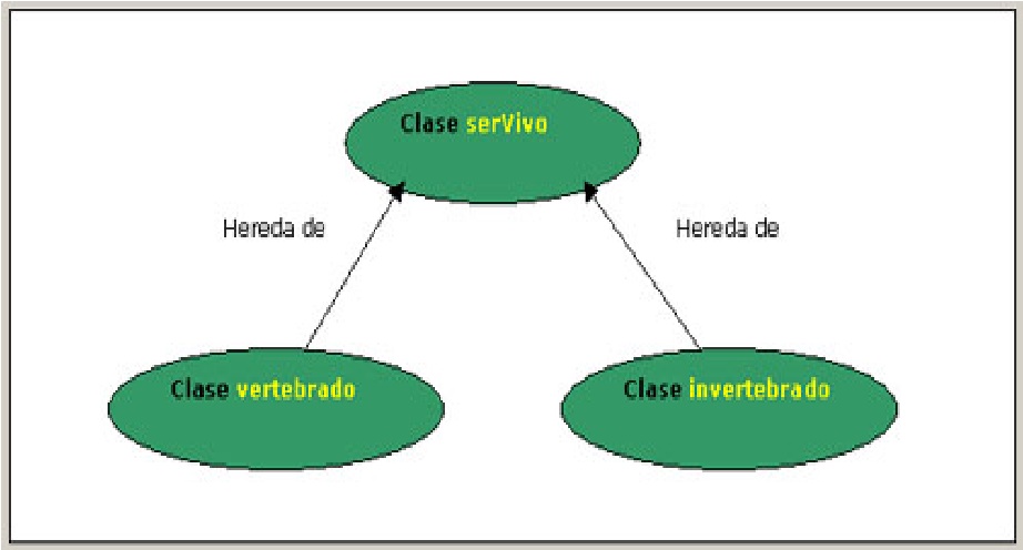 Jerarquía de clases: Herencia simple