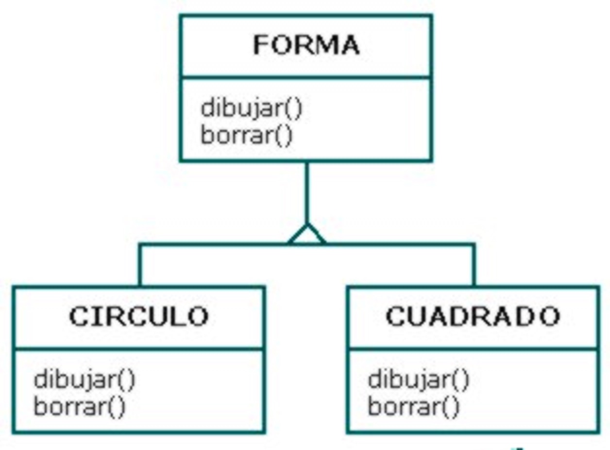 Ejemplo de polimorfismo