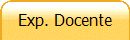 Exp. Docente