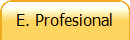 E. Profesional