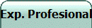 Exp. Profesional