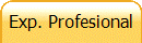 Exp. Profesional